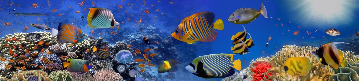 header rieselfilter.com