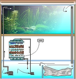 Rieselfilter für Kleinaquarien