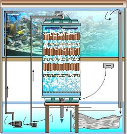 Rieselfilter für Großaquarien